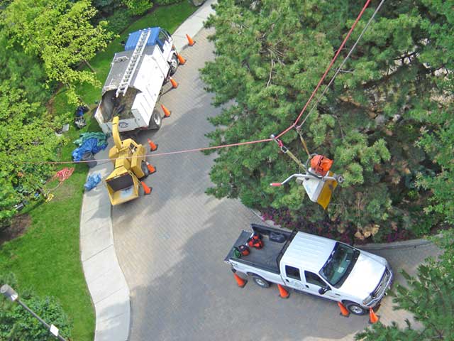 Stump Removal on a Deck