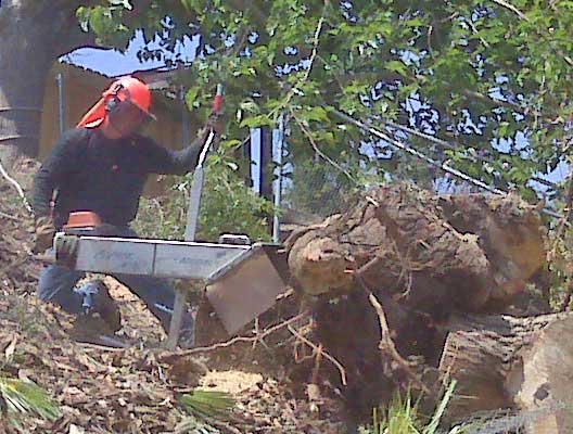 Stump Removal on a Deck