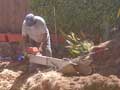 Residential Stump Grinding