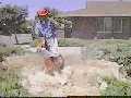 Heavy Duty Stump Grinding
